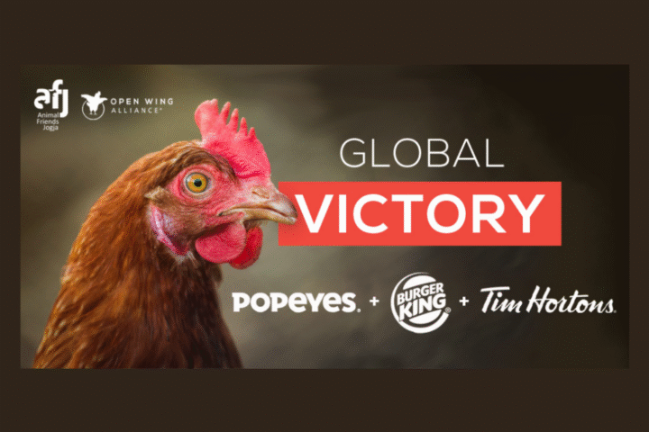 BURGER KING, POPEYES, TIM HORTONS MENGUMUMKAN KEBIJAKAN BEBAS KANDANG GLOBAL