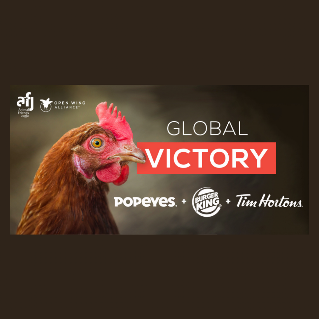 BURGER KING, POPEYES, TIM HORTONS MENGUMUMKAN KEBIJAKAN BEBAS KANDANG GLOBAL