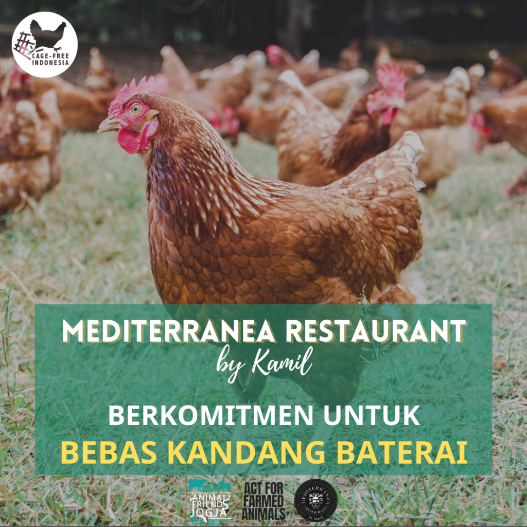 Mediterranea Restaurant: Pandemi Bukan Halangan untuk Menjadi Lebih Baik, Beralih ke Telur Bebas Kandang Baterai