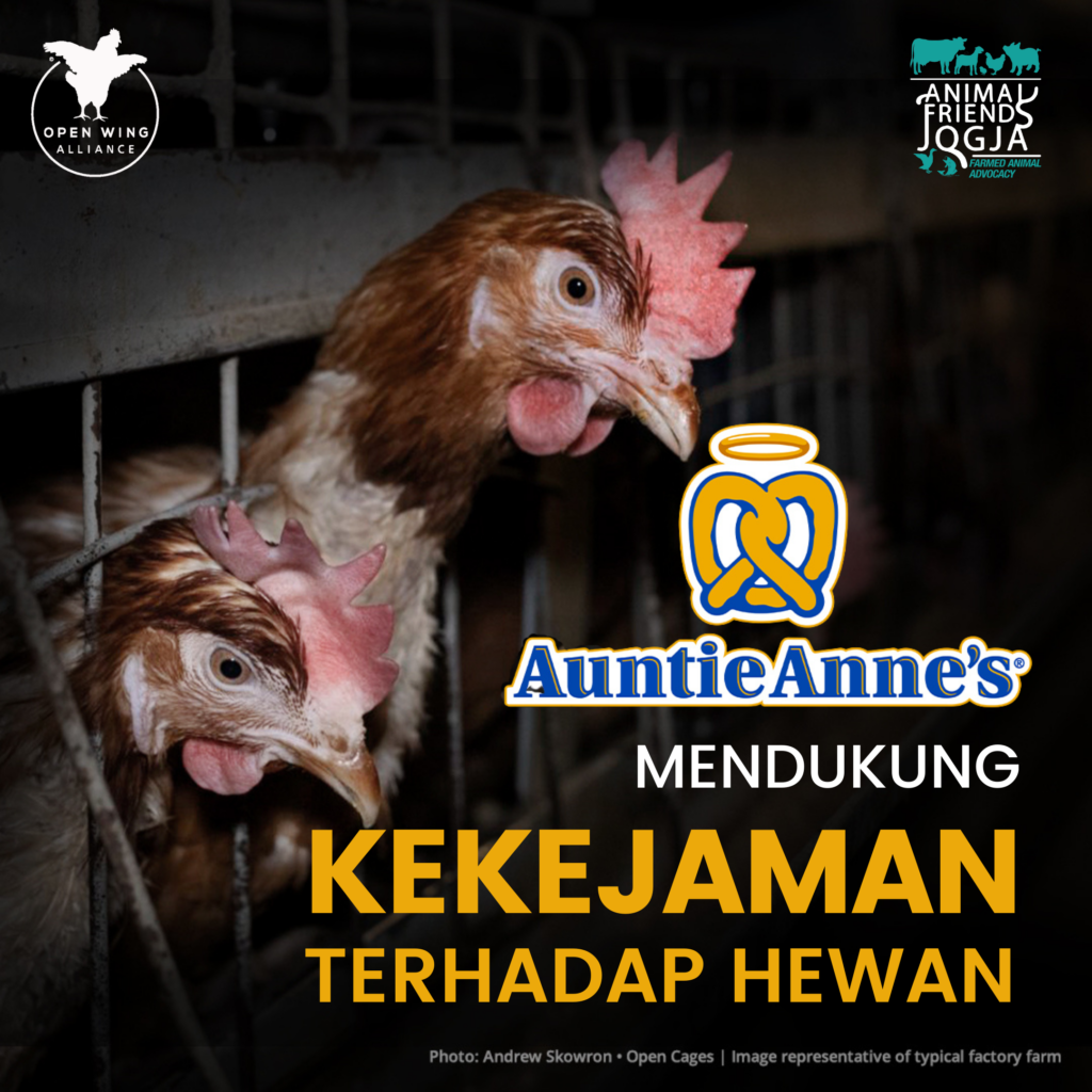 KAMPANYE GLOBAL BEBAS KANDANG BATERAI: FOCUS BRANDS BERHENTILAH MENDUKUNG KEKEJAMAN TERHADAP HEWAN