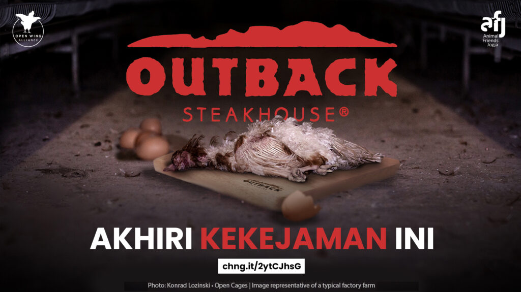 Outback Steakhouse Akhiri Kekejaman Ini!