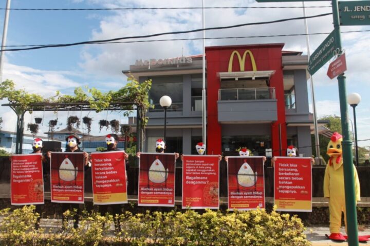 Animal Friends Jogja Bersama Aktivis Aksi Tuntut McDonald’s Tolak Kandang Baterai
