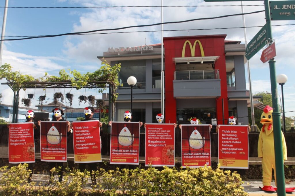 Animal Friends Jogja Bersama Aktivis Aksi Tuntut McDonald’s Tolak Kandang Baterai
