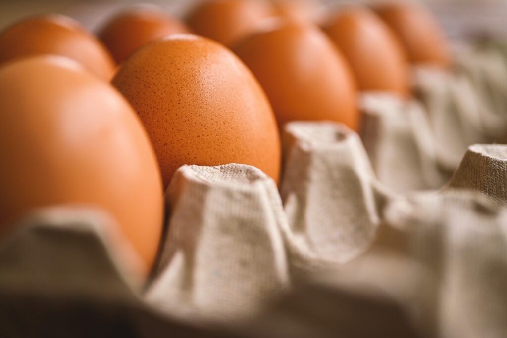 Rangkaian Komitmen Cage-free Menuju Indonesia Bebas Kandang Baterai 2030!