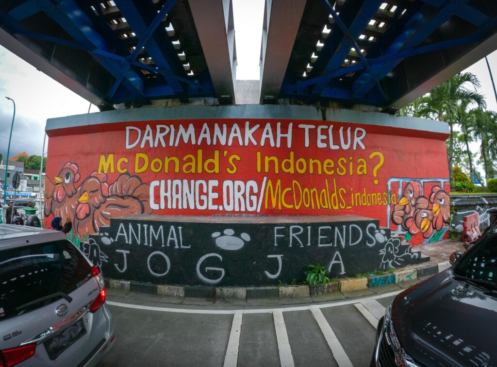 Animal Friends Jogja Ajak Konsumen Tanyakan dari Mana Sumber Telur McDonald’s Indonesia Berasal