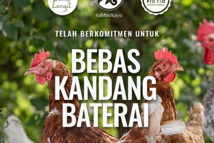 Peduli Kesejahteraan Hewan, Tiga Bisnis Kuliner Terkemuka di Yogyakarta Gunakan Telur Bebas Kandang Baterai