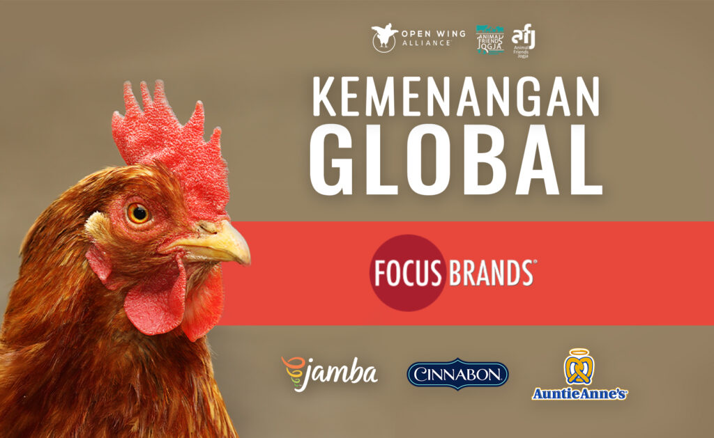 Bebas Kandang Baterai: Kemenangan Global