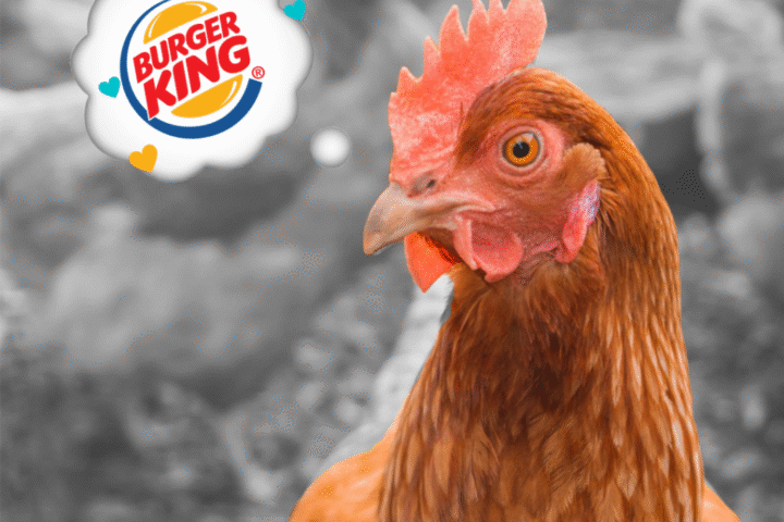 Burger King, Berkomitmen Bebas Kandang Baterai di Indonesia