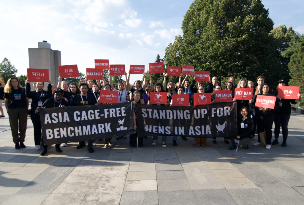 Indonesia Masuk Peringkat ke-7 dalam Laporan Benchmark Bebas Sangkar (Cage-Free) Asia