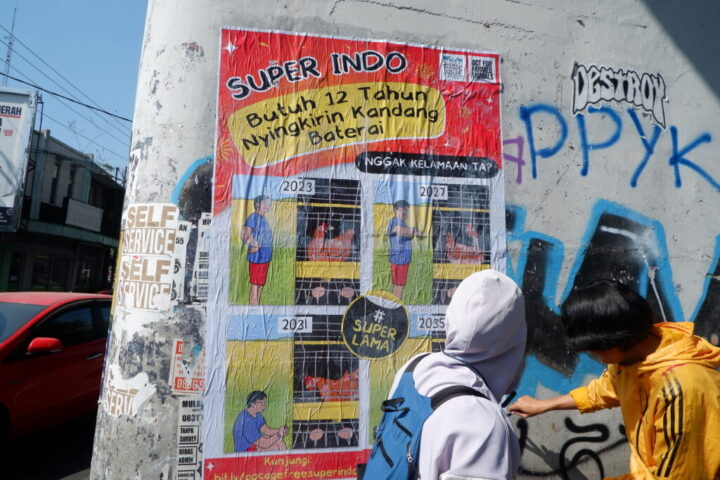 Desak Super Indo Persingkat Komitmen Telur Bebas Kandang Baterai, Animal Friends Jogja Lakukan Kampanye Lewat Billboard serta Aksi Bersepeda & Menempel Poster