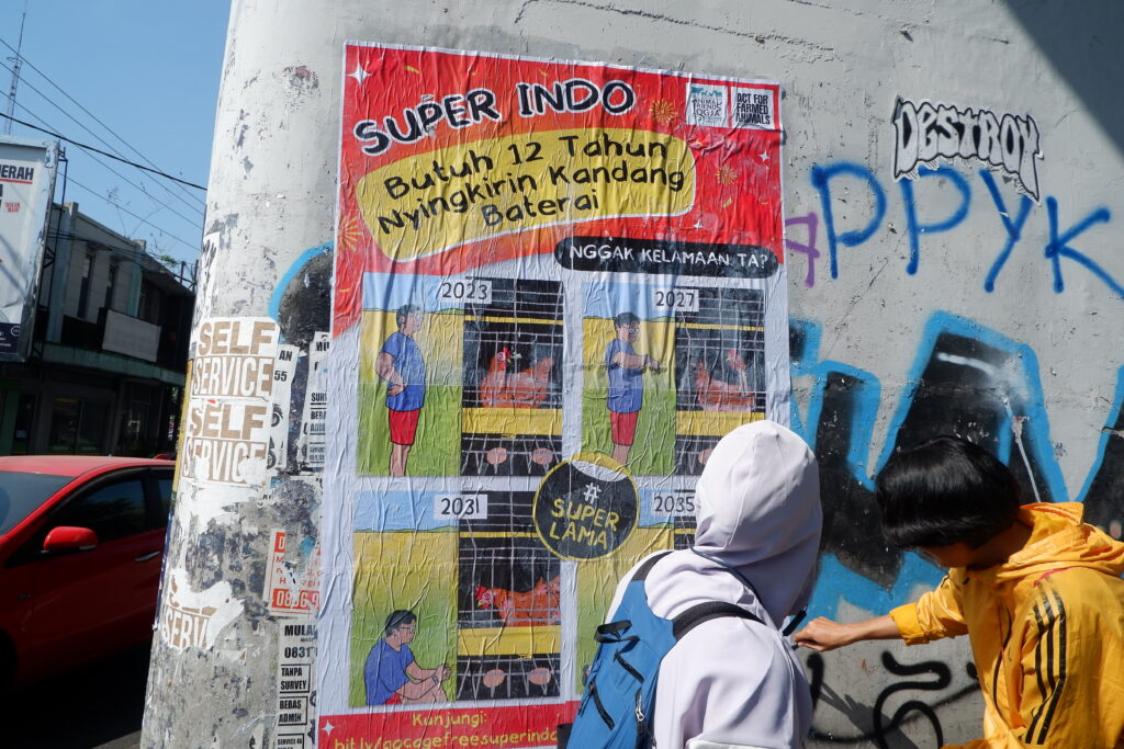 Desak Super Indo Persingkat Komitmen Telur Bebas Kandang Baterai, Animal Friends Jogja Lakukan Kampanye Lewat Billboard serta Aksi Bersepeda & Menempel Poster