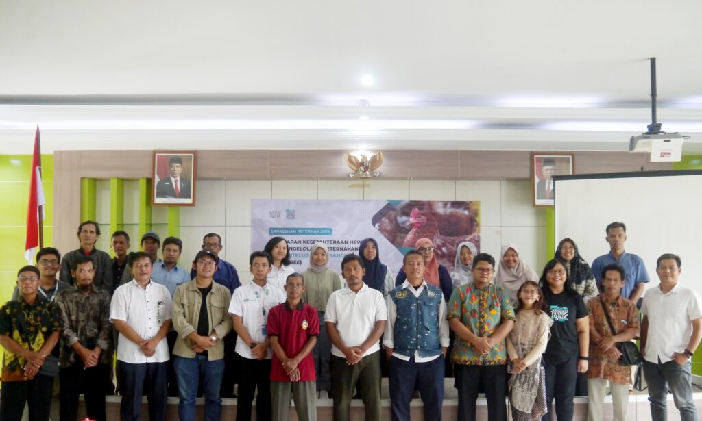 Adakan Sarasehan, Animal Friends Jogja Edukasi Mengenai Peternakan Ayam Petelur Bebas Sangkar