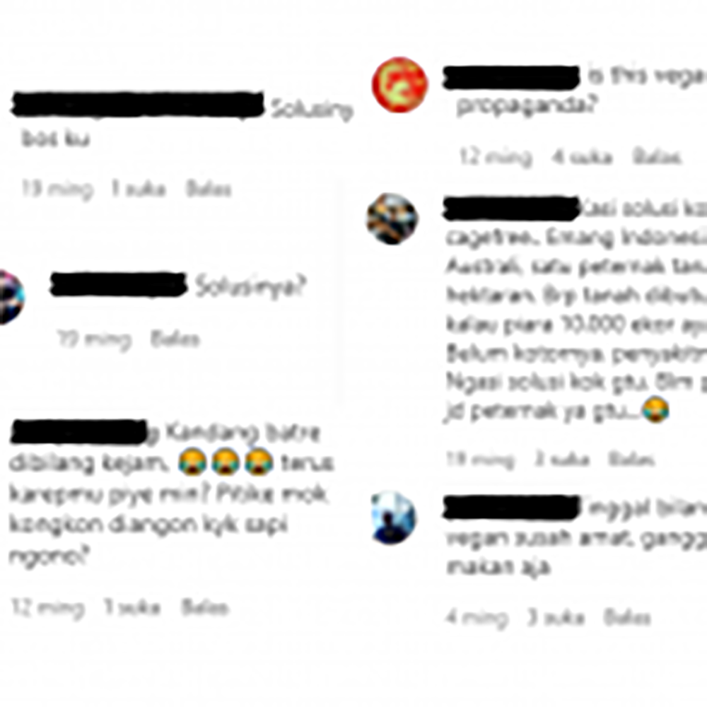 5 Salah Kaprah Tentang Kampanye Bebas Kandang Baterai ala Netizen