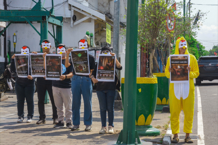 Peringati Hari Ibu, Animal Friends Jogja Turun ke Jalan Suarakan Kesejahteraan Ayam Petelur