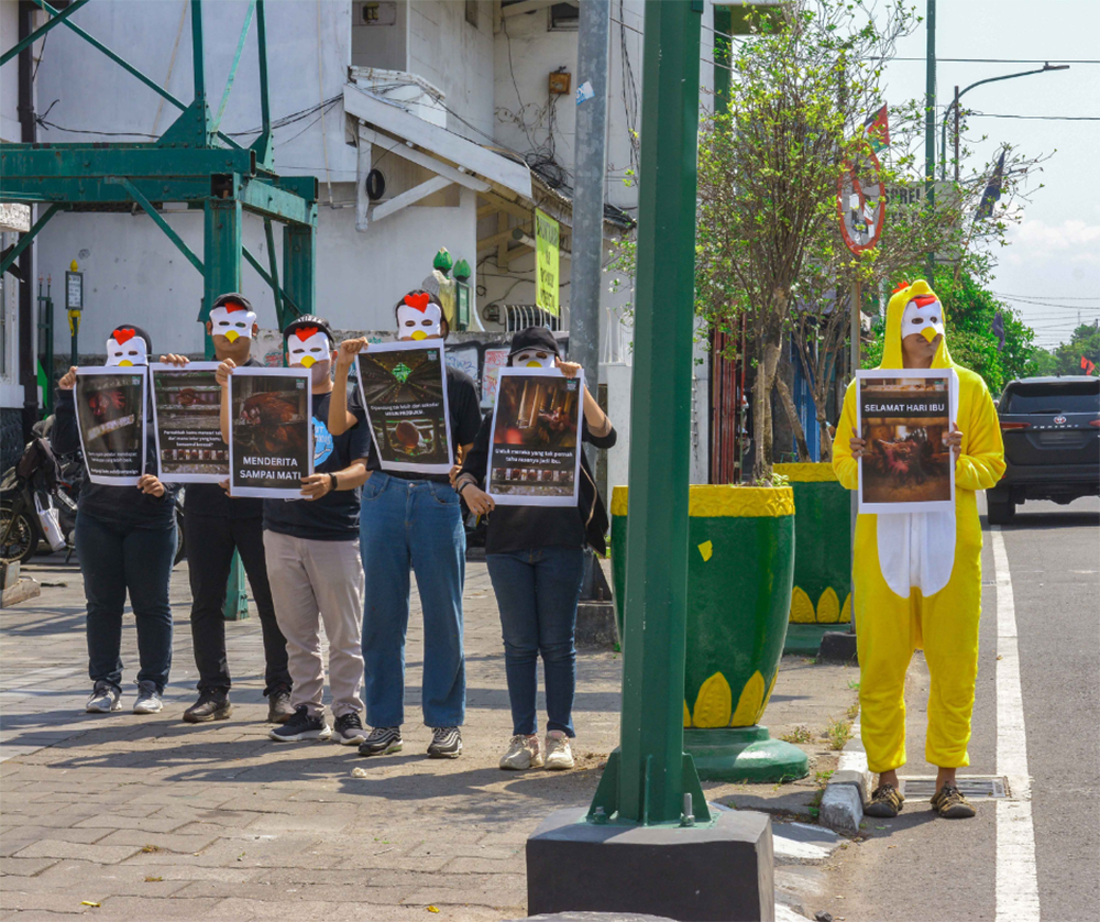 Peringati Hari Ibu, Animal Friends Jogja Turun ke Jalan Suarakan Kesejahteraan Ayam Petelur