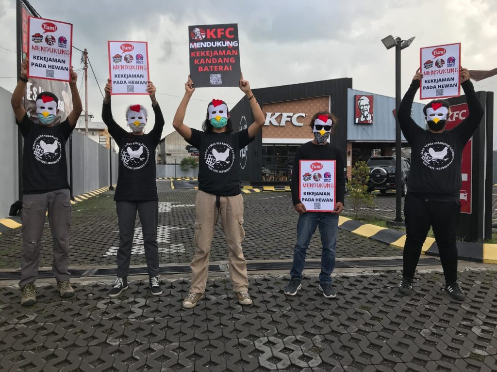 Organisasi Perlindungan Hewan di Indonesia dan Dunia Bersatu Mendesak KFC, Pizza Hut dan Taco Bell untuk Berhenti Menggunakan Telur dari Kandang Baterai