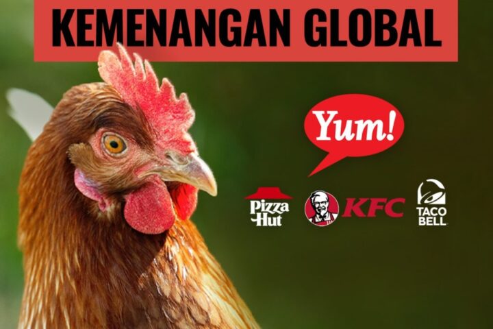 GLOBAL VICTORY- KFC, PIZZA HUT DAN TACO BELL MENGUMUMKAN KEBIJAKAN BEBAS KANDANG BATERAI SECARA GOBAL UNTUK KESEJAHTERAAN JUTAAN AYAM PETELUR