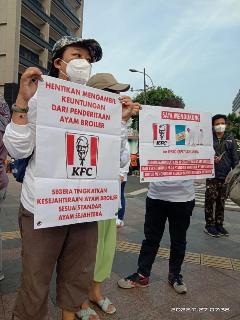 Koalisi Ayam Sejahtera Desak Pemerintah dan Pengusaha Serius Tangani Resistensi Antimikroba