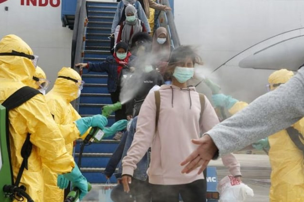 Sebelum Manusia, Hewan yang Diternak Sudah Lama Menghadapi Risiko Paparan Disinfektan
