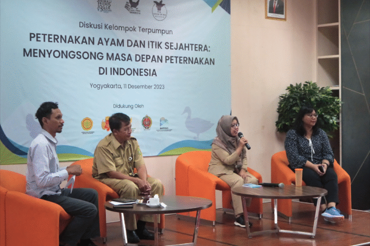 Dorong Kesejahteraan Ayam dan Itik Petelur: Animal Friends Jogja Menginisiasi Diskusi Terpumpun dengan Pemerintah Pusat dan Daerah