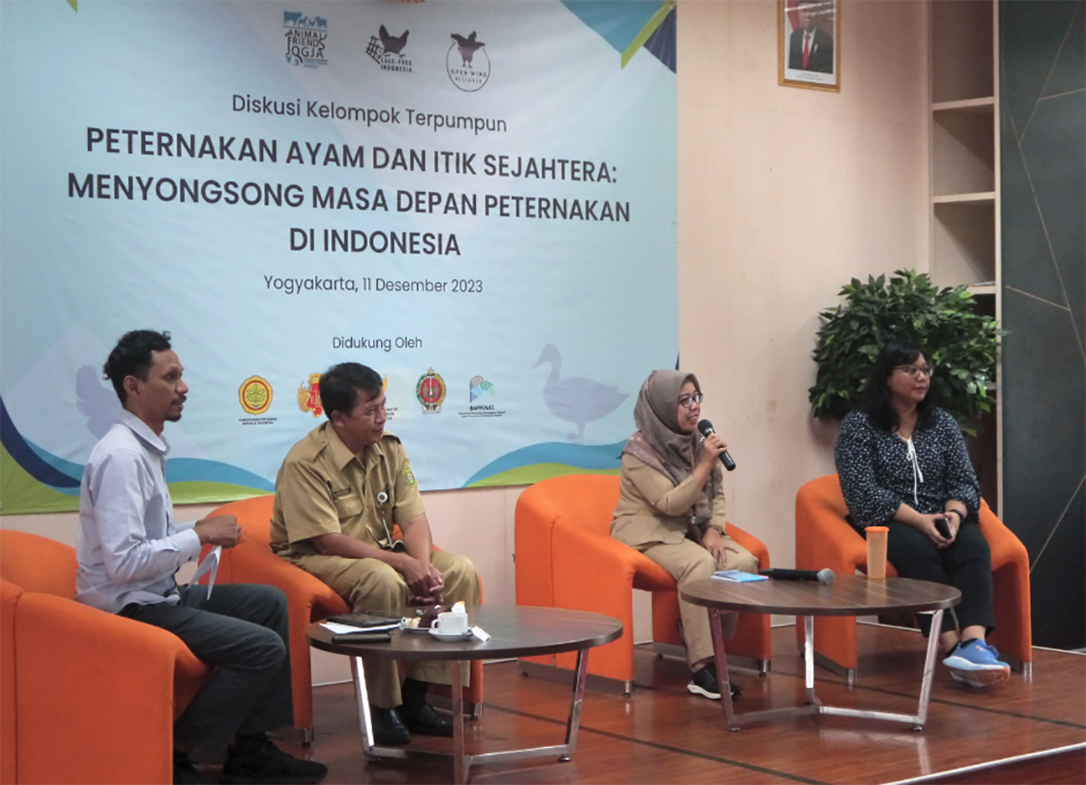 Dorong Kesejahteraan Ayam dan Itik Petelur: Animal Friends Jogja Menginisiasi Diskusi Terpumpun dengan Pemerintah Pusat dan Daerah