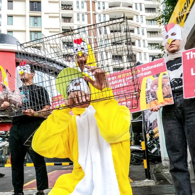AFJ Telur Bebas Sangkar untuk McDonalds
