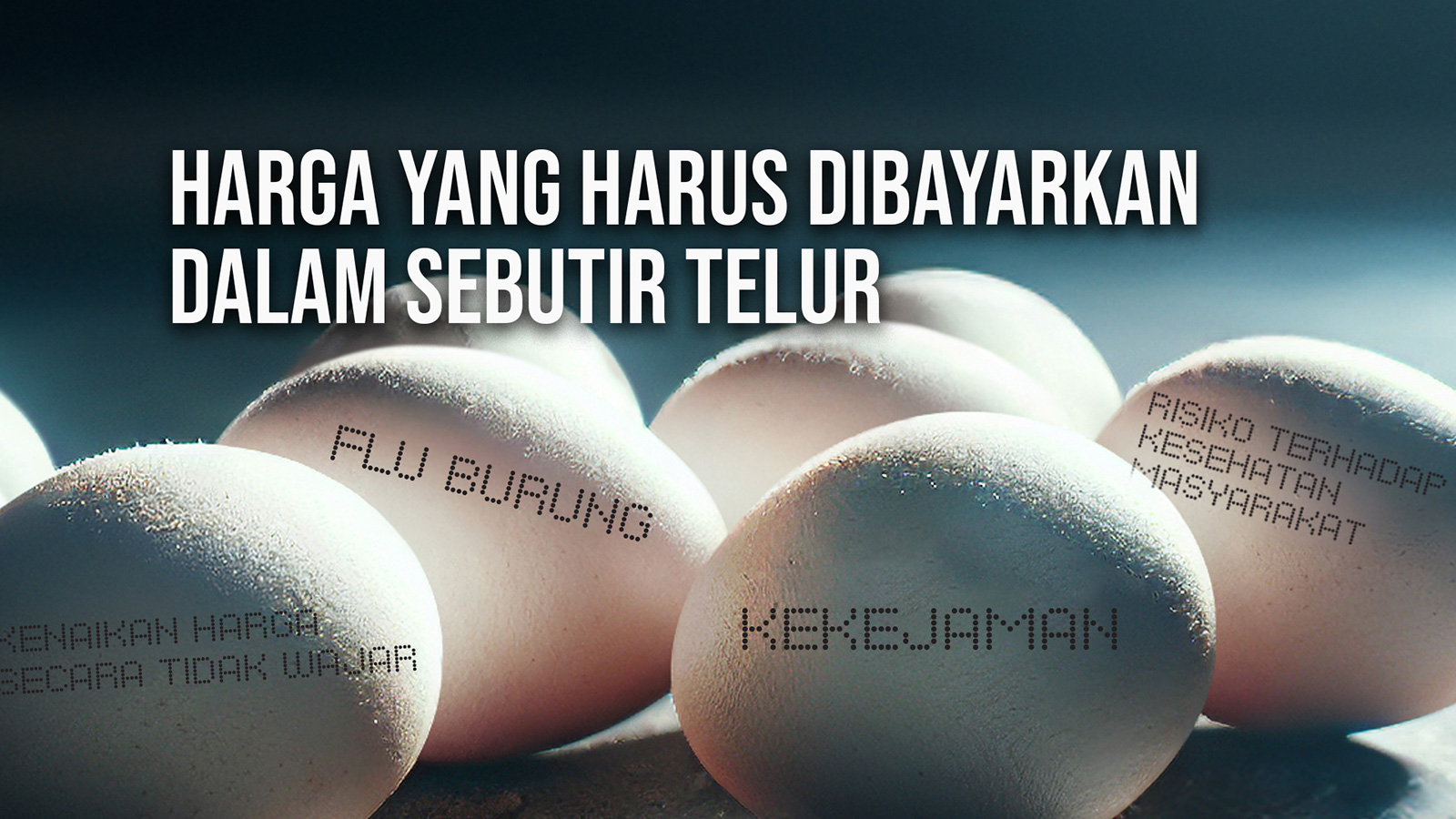 Asia Menjadi Pusat Investigasi Terbesar terhadap Industri Telur Global
