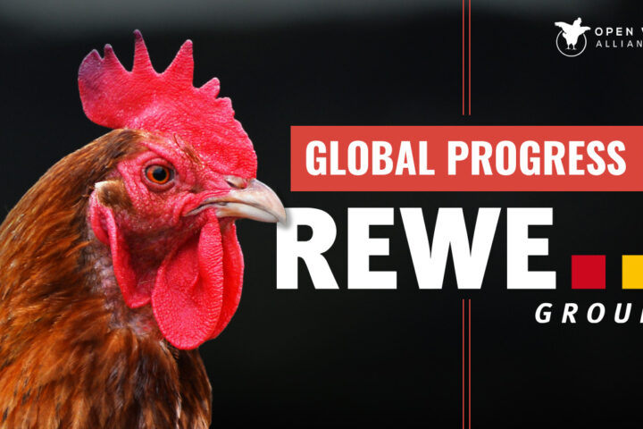 Raksasa Ritel Global Menanggapi Permintaan Konsumen akan Transparansi