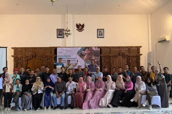 Animal Friends Jogja Gaungkan Sistem Bebas Sangkar (Cage-Free) Lewat Sarasehan Peternak di Blitar