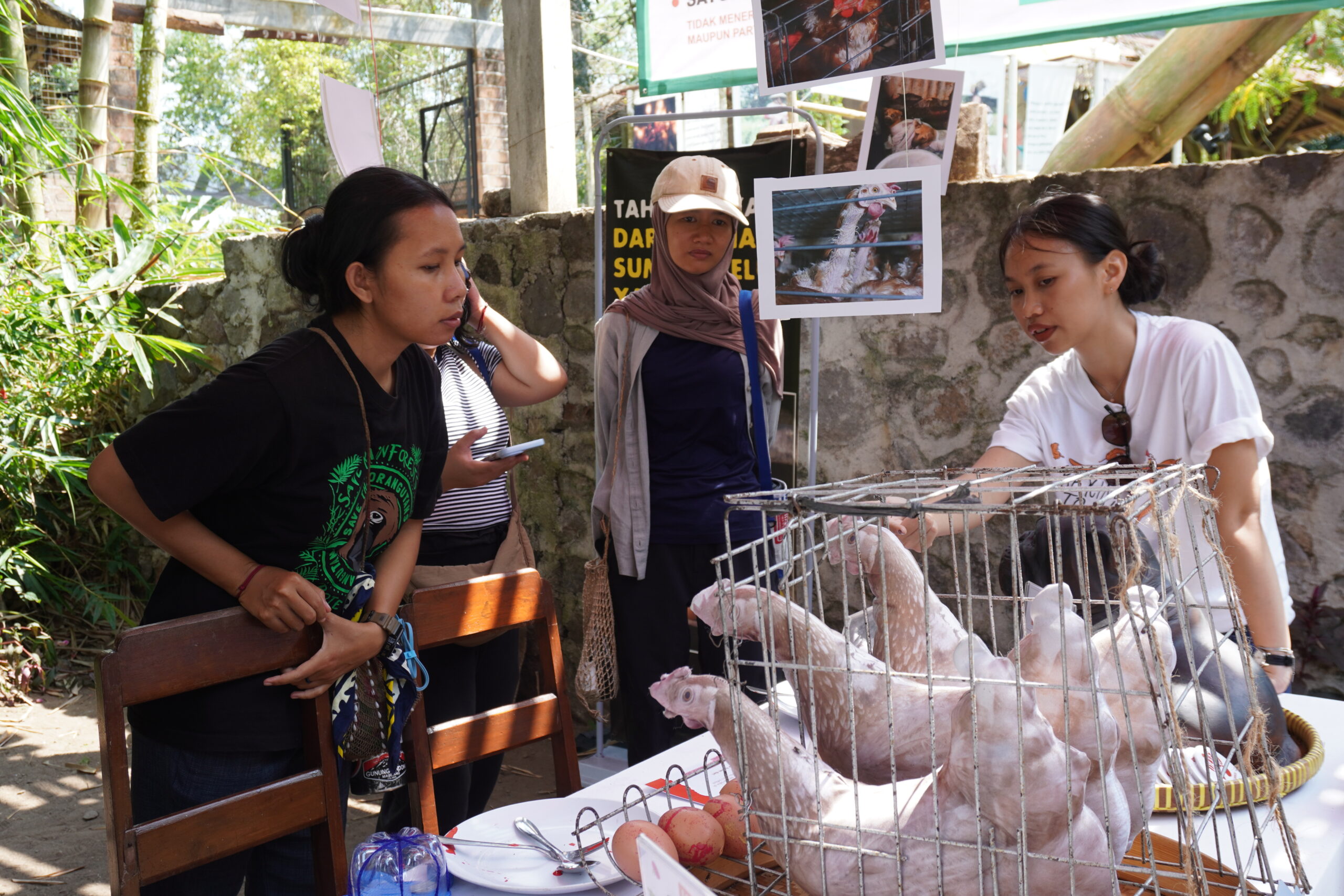 Relasi yang Terlupakan: Manusia, Hewan, dan Krisis Ekosistem