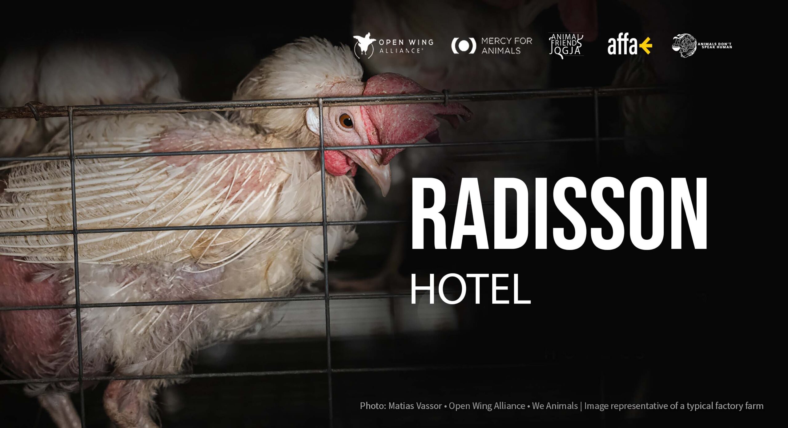 Radisson Hadapi Kecaman Global karena Mengingkari Janji Bebas Sangkarnya