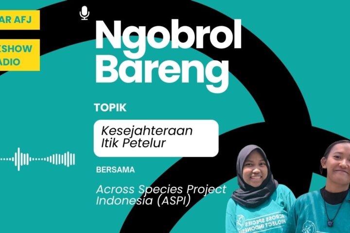AFJ dan ASPI Soroti Kesejahteraan Itik Petelur: Dari Sawah ke Kandang Baterai
