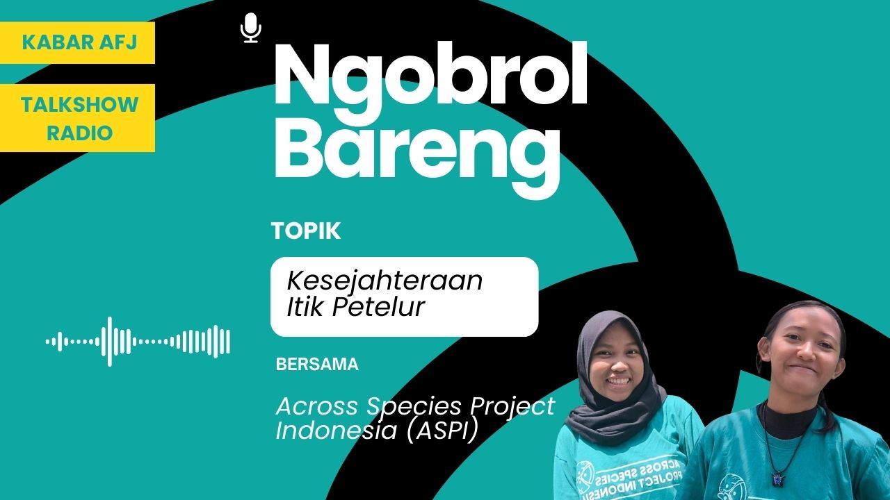 AFJ dan ASPI Soroti Kesejahteraan Itik Petelur: Dari Sawah ke Kandang Baterai