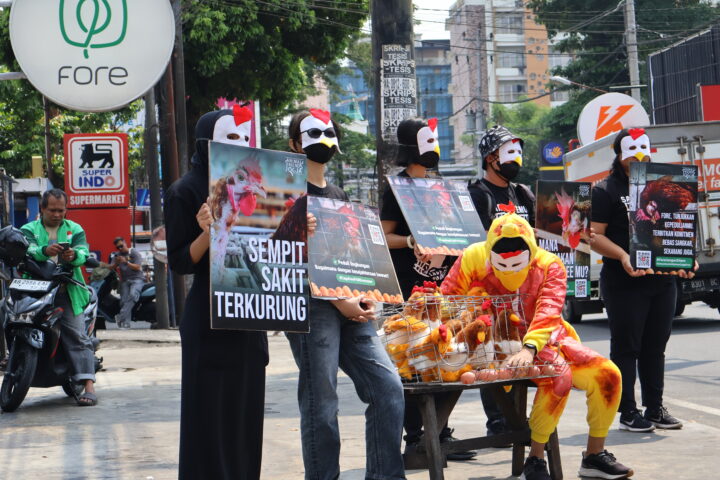 “Fore, Jangan Diam”: Aktivis Desak Komitmen Cage-Free di Tengah Tekanan Publik