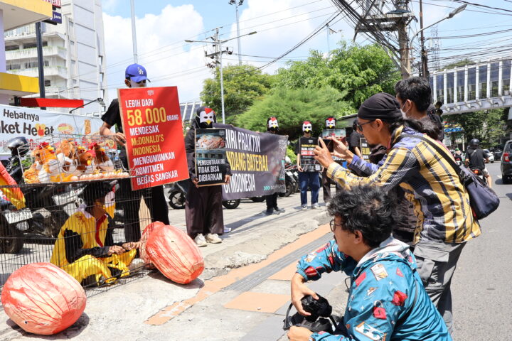 “Penjara di Balik Menu”: AFJ Desak McDonald’s Indonesia Tetapkan Komitmen Cage-Free Nasional
